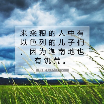 Picture 07 - 创 世 纪 42:5 CUVS - 来 籴 粮 的 人 中 有 以 色 列 的 儿 - Bible Verse Picture