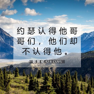 Picture 07 - 创 世 纪 42:8 CUVS - 约 瑟 认 得 他 哥 哥 们 ， 他 们 却 - Bible Verse Picture