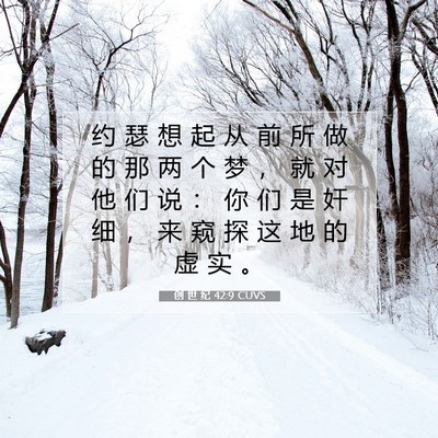 Picture 07 - 创 世 纪 42:9 CUVS - 约 瑟 想 起 从 前 所 做 的 那 两 个 - Bible Verse Picture