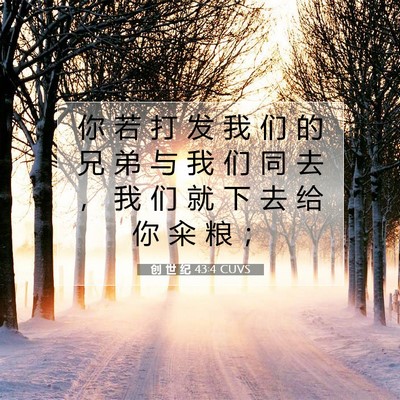 Picture 07 - 创 世 纪 43:4 CUVS - 你 若 打 发 我 们 的 兄 弟 与 我 们 - Bible Verse Picture