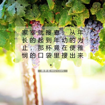 Picture 07 - 创 世 纪 44:12 CUVS - 家 宰 就 搜 查 ， 从 年 长 的 起 到 - Bible Verse Picture