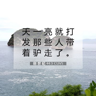 Picture 07 - 创 世 纪 44:3 CUVS - 天 一 亮 就 打 发 那 些 人 带 着 驴 - Bible Verse Picture