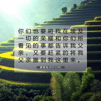 Picture 07 - 创 世 纪 45:13 CUVS - 你 们 也 要 将 我 在 埃 及 一 切 的 - Bible Verse Picture