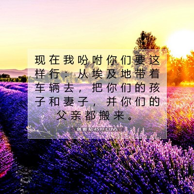 Picture 07 - 创 世 纪 45:19 CUVS - 现 在 我 吩 咐 你 们 要 这 样 行 ： - Bible Verse Picture