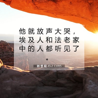 Picture 07 - 创 世 纪 45:2 CUVS - 他 就 放 声 大 哭 ， 埃 及 人 和 法 - Bible Verse Picture