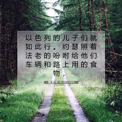 Picture 07 - 创 世 纪 45:21 CUVS - 以 色 列 的 儿 子 们 就 如 此 行 。 - Bible Verse Picture