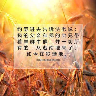 Picture 07 - 创 世 纪 47:1 CUVS - 约 瑟 进 去 告 诉 法 老 说 ： 我 的 - Bible Verse Picture