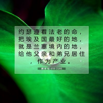 Picture 07 - 创 世 纪 47:11 CUVS - 约 瑟 遵 着 法 老 的 命 ， 把 埃 及 - Bible Verse Picture