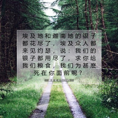 Picture 07 - 创 世 纪 47:15 CUVS - 埃 及 地 和 迦 南 地 的 银 子 都 花 - Bible Verse Picture