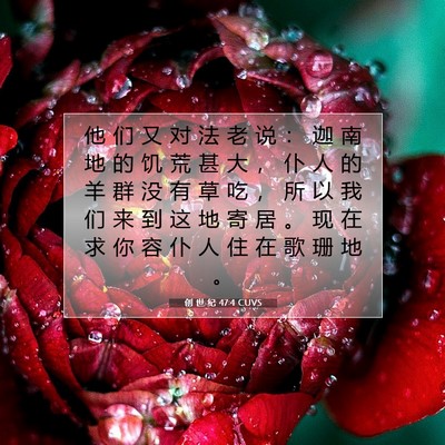 Picture 07 - 创 世 纪 47:4 CUVS - 他 们 又 对 法 老 说 ： 迦 南 地 的 - Bible Verse Picture