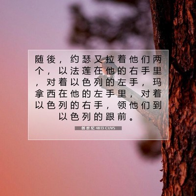 Picture 07 - 创 世 纪 48:13 CUVS - 随 後 ， 约 瑟 又 拉 着 他 们 两 个 - Bible Verse Picture