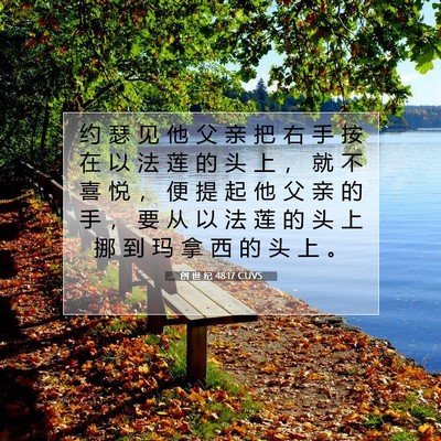 Picture 07 - 创 世 纪 48:17 CUVS - 约 瑟 见 他 父 亲 把 右 手 按 在 以 - Bible Verse Picture