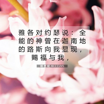 Picture 07 - 创 世 纪 48:3 CUVS - 雅 各 对 约 瑟 说 ： 全 能 的 神 曾 - Bible Verse Picture