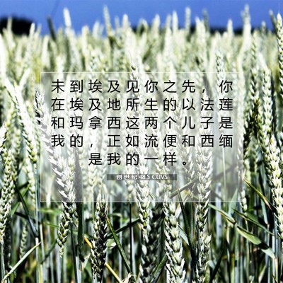 Picture 07 - 创 世 纪 48:5 CUVS - 未 到 埃 及 见 你 之 先 ， 你 在 埃 - Bible Verse Picture