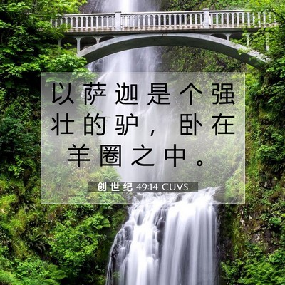 Picture 07 - 创 世 纪 49:14 CUVS - 以 萨 迦 是 个 强 壮 的 驴 ， 卧 在 - Bible Verse Picture