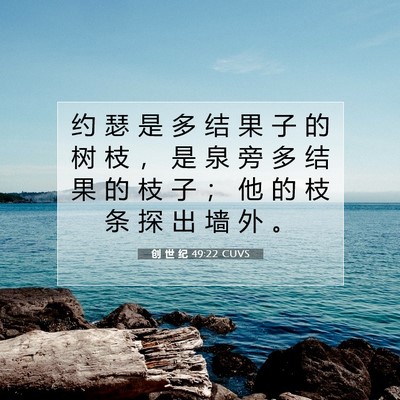 Picture 07 - 创 世 纪 49:22 CUVS - 约 瑟 是 多 结 果 子 的 树 枝 ， 是 - Bible Verse Picture