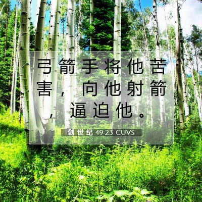 Picture 07 - 创 世 纪 49:23 CUVS - 弓 箭 手 将 他 苦 害 ， 向 他 射 箭 - Bible Verse Picture