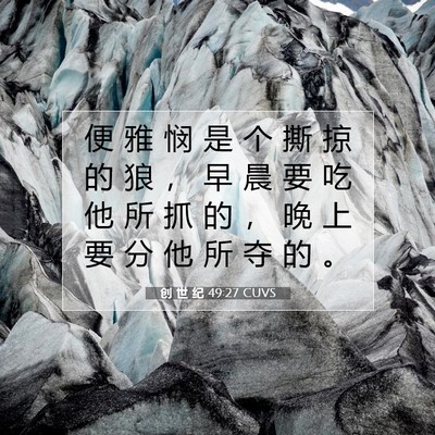 Picture 07 - 创 世 纪 49:27 CUVS - 便 雅 悯 是 个 撕 掠 的 狼 ， 早 晨 - Bible Verse Picture