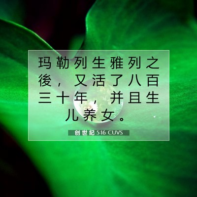 Picture 07 - 创 世 纪 5:16 CUVS - 玛 勒 列 生 雅 列 之 後 ， 又 活 了 - Bible Verse Picture