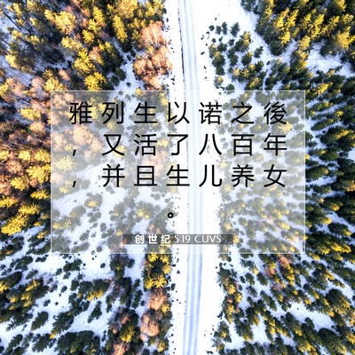 Picture 07 - 创 世 纪 5:19 CUVS - 雅 列 生 以 诺 之 後 ， 又 活 了 八 - Bible Verse Picture