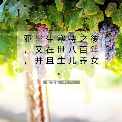 Picture 07 - 创 世 纪 5:4 CUVS - 亚 当 生 塞 特 之 後 , 又 在 世 八 - Bible Verse Picture