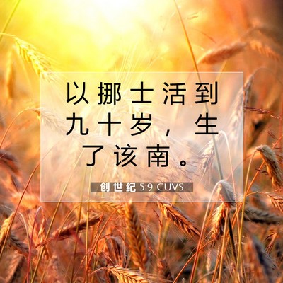 Picture 07 - 创 世 纪 5:9 CUVS - 以 挪 士 活 到 九 十 岁 ， 生 了 该 - Bible Verse Picture