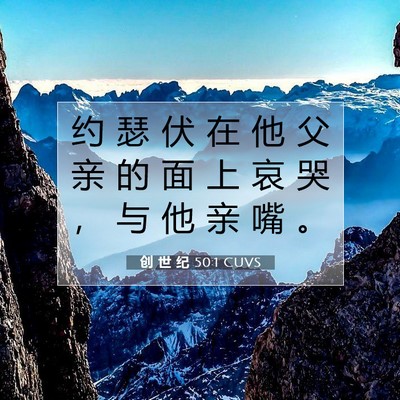 Picture 07 - 创 世 纪 50:1 CUVS - 约 瑟 伏 在 他 父 亲 的 面 上 哀 哭 - Bible Verse Picture