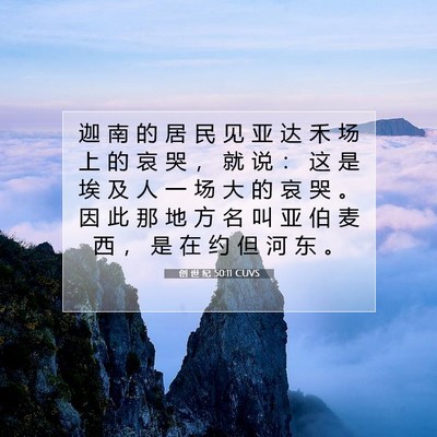 Picture 07 - 创 世 纪 50:11 CUVS - 迦 南 的 居 民 见 亚 达 禾 场 上 的 - Bible Verse Picture