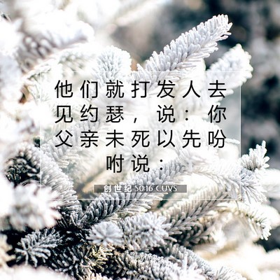 Picture 07 - 创 世 纪 50:16 CUVS - 他 们 就 打 发 人 去 见 约 瑟 ， 说 - Bible Verse Picture