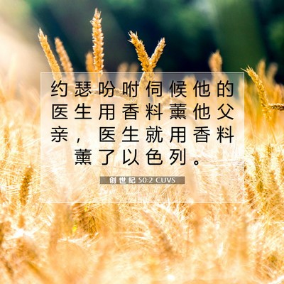 Picture 07 - 创 世 纪 50:2 CUVS - 约 瑟 吩 咐 伺 候 他 的 医 生 用 香 - Bible Verse Picture