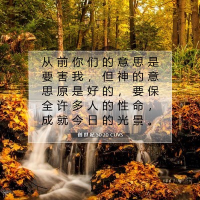 Picture 07 - 创 世 纪 50:20 CUVS - 从 前 你 们 的 意 思 是 要 害 我 ， - Bible Verse Picture