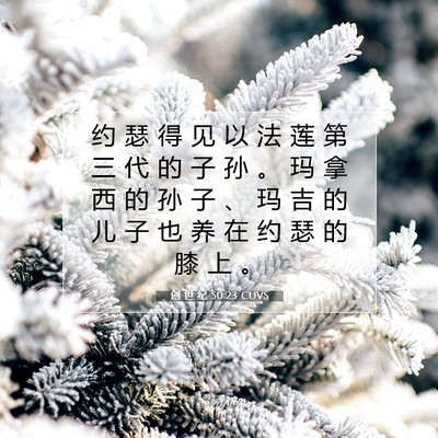 Picture 07 - 创 世 纪 50:23 CUVS - 约 瑟 得 见 以 法 莲 第 三 代 的 子 - Bible Verse Picture