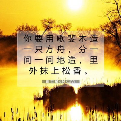 Picture 07 - 创 世 纪 6:14 CUVS - 你 要 用 歌 斐 木 造 一 只 方 舟 ， - Bible Verse Picture