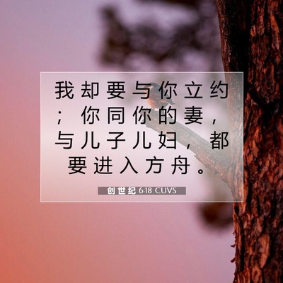 Picture 07 - 创 世 纪 6:18 CUVS - 我 却 要 与 你 立 约 ； 你 同 你 的 - Bible Verse Picture