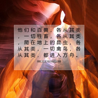 Picture 07 - 创 世 纪 7:14 CUVS - 他 们 和 百 兽 ， 各 从 其 类 ， 一 - Bible Verse Picture