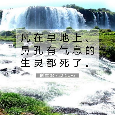 Picture 07 - 创 世 纪 7:22 CUVS - 凡 在 旱 地 上 、 鼻 孔 有 气 息 的 - Bible Verse Picture