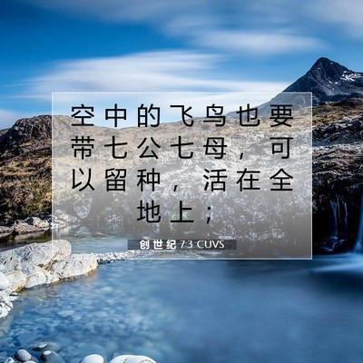 Picture 07 - 创 世 纪 7:3 CUVS - 空 中 的 飞 鸟 也 要 带 七 公 七 母 - Bible Verse Picture