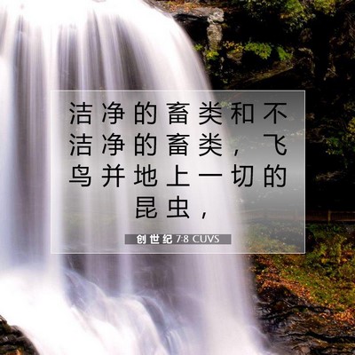 Picture 07 - 创 世 纪 7:8 CUVS - 洁 净 的 畜 类 和 不 洁 净 的 畜 类 - Bible Verse Picture