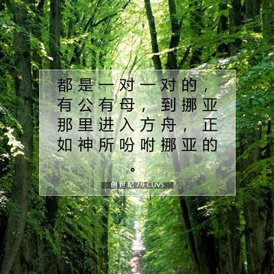 Picture 07 - 创 世 纪 7:9 CUVS - 都 是 一 对 一 对 的 ， 有 公 有 母 - Bible Verse Picture
