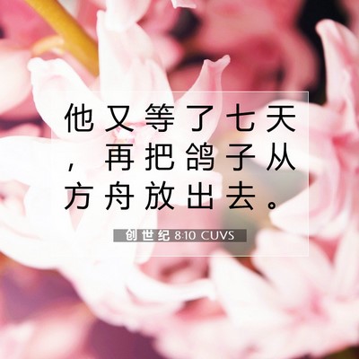 Picture 07 - 创 世 纪 8:10 CUVS - 他 又 等 了 七 天 ， 再 把 鸽 子 从 - Bible Verse Picture