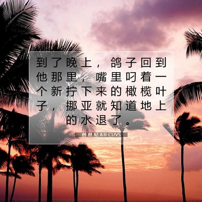 Picture 07 - 创 世 纪 8:11 CUVS - 到 了 晚 上 ， 鸽 子 回 到 他 那 里 - Bible Verse Picture