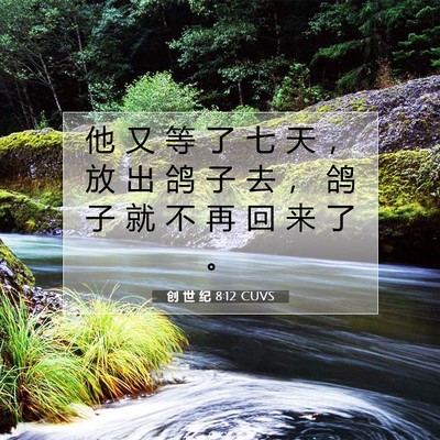 Picture 07 - 创 世 纪 8:12 CUVS - 他 又 等 了 七 天 ， 放 出 鸽 子 去 - Bible Verse Picture