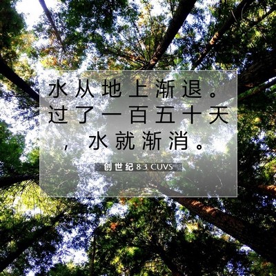 Picture 07 - 创 世 纪 8:3 CUVS - 水 从 地 上 渐 退 。 过 了 一 百 五 - Bible Verse Picture