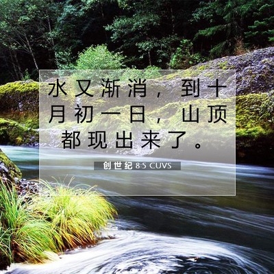 Picture 07 - 创 世 纪 8:5 CUVS - 水 又 渐 消 ， 到 十 月 初 一 日 ， - Bible Verse Picture