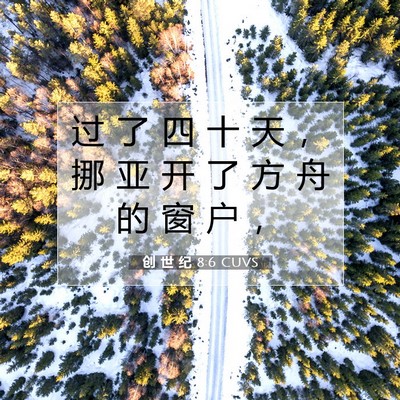 Picture 07 - 创 世 纪 8:6 CUVS - 过 了 四 十 天 ， 挪 亚 开 了 方 舟 - Bible Verse Picture