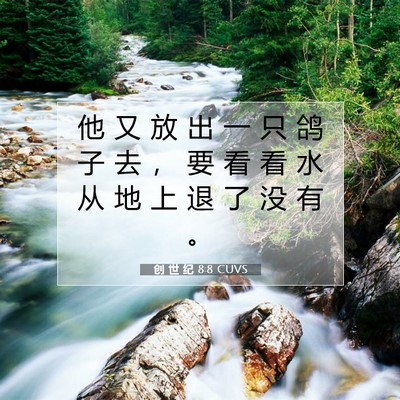 Picture 07 - 创 世 纪 8:8 CUVS - 他 又 放 出 一 只 鸽 子 去 ， 要 看 - Bible Verse Picture