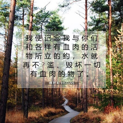 Picture 07 - 创 世 纪 9:15 CUVS - 我 便 记 念 我 与 你 们 和 各 样 有 - Bible Verse Picture