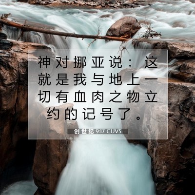 Picture 07 - 创 世 纪 9:17 CUVS - 神 对 挪 亚 说 ： 这 就 是 我 与 地 - Bible Verse Picture