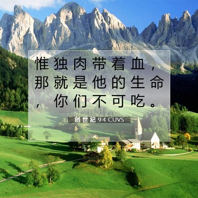 Picture 07 - 创 世 纪 9:4 CUVS - 惟 独 肉 带 着 血 ， 那 就 是 他 的 - Bible Verse Picture