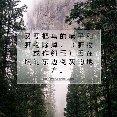 Picture 07 - 利 未 记 1:16 CUVS - 又 要 把 鸟 的 嗉 子 和 脏 物 除 掉 - Bible Verse Picture